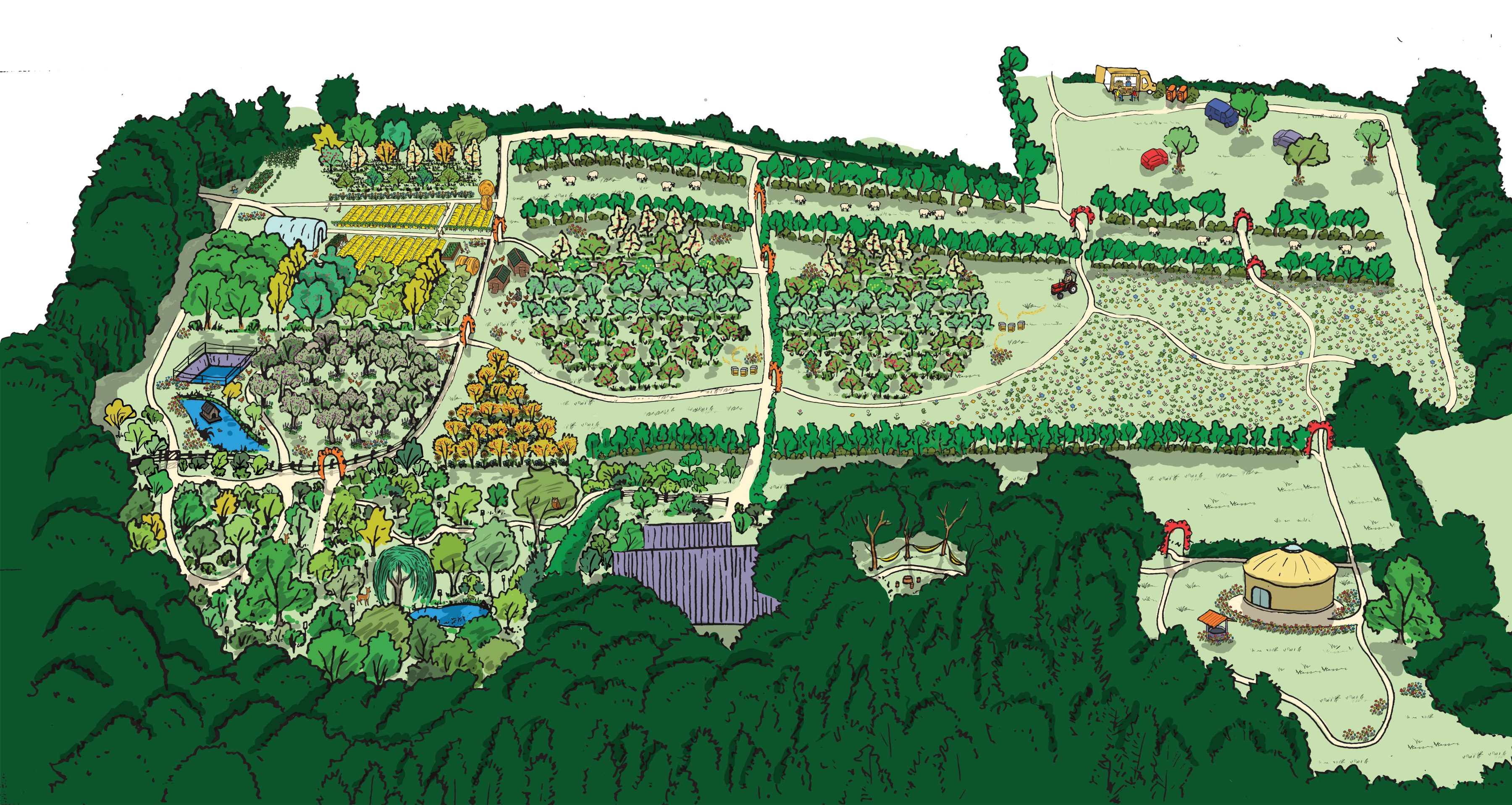 Vue d'ensemble illustrée de la ferme Danaterre : vergers, syntropie, haies et forêt nourricière sur 4 hectares