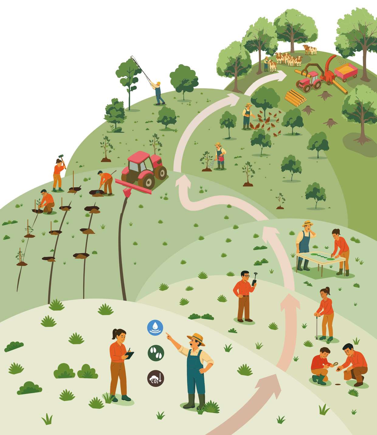 Étapes d'un projet