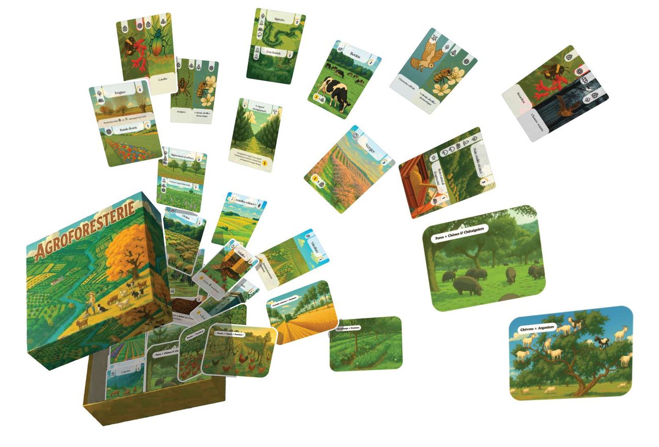 La boîte du jeu « Agroforesterie, le jeu »