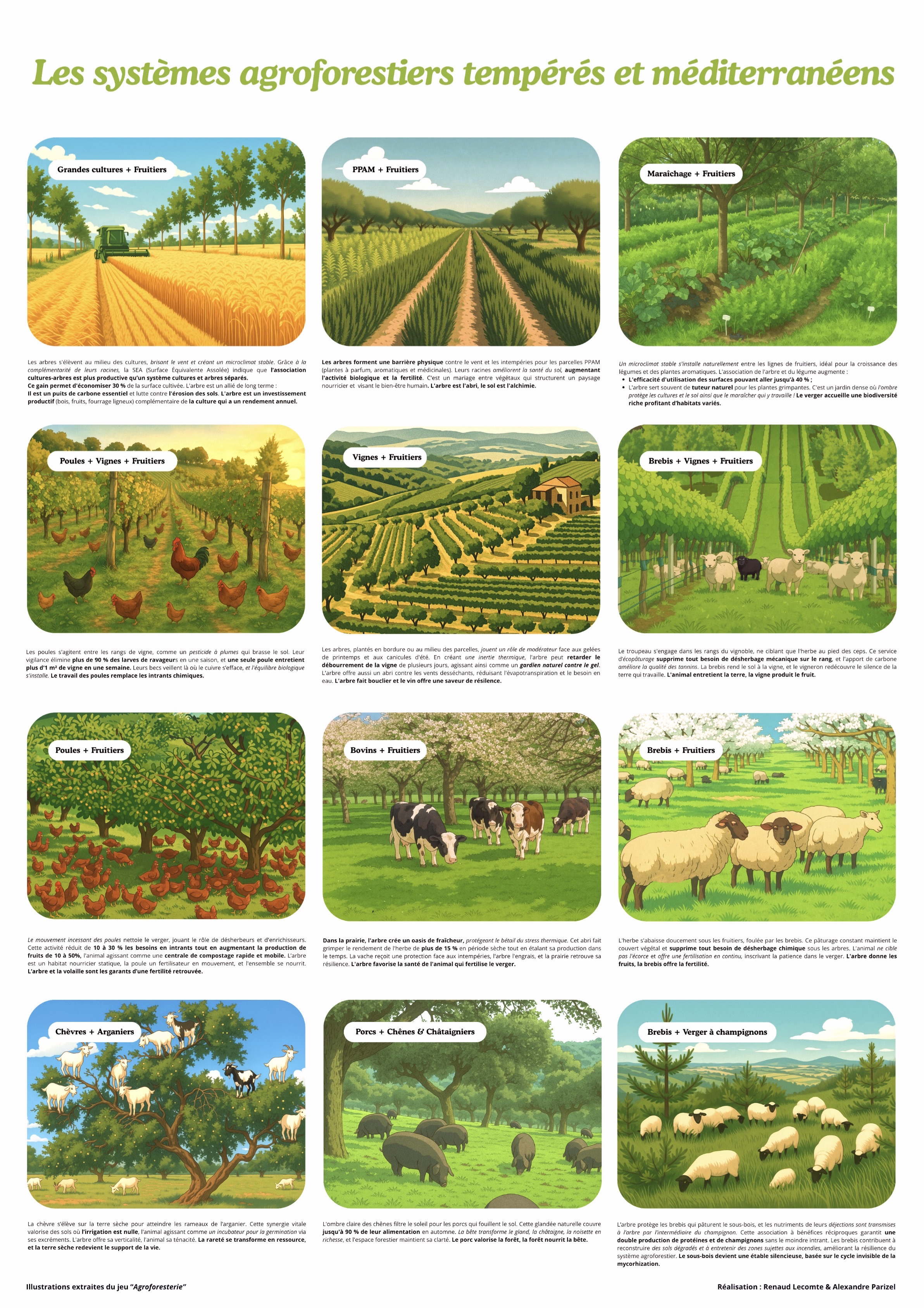 Le poster des systèmes agroforestiers tempérés et méditerranéens