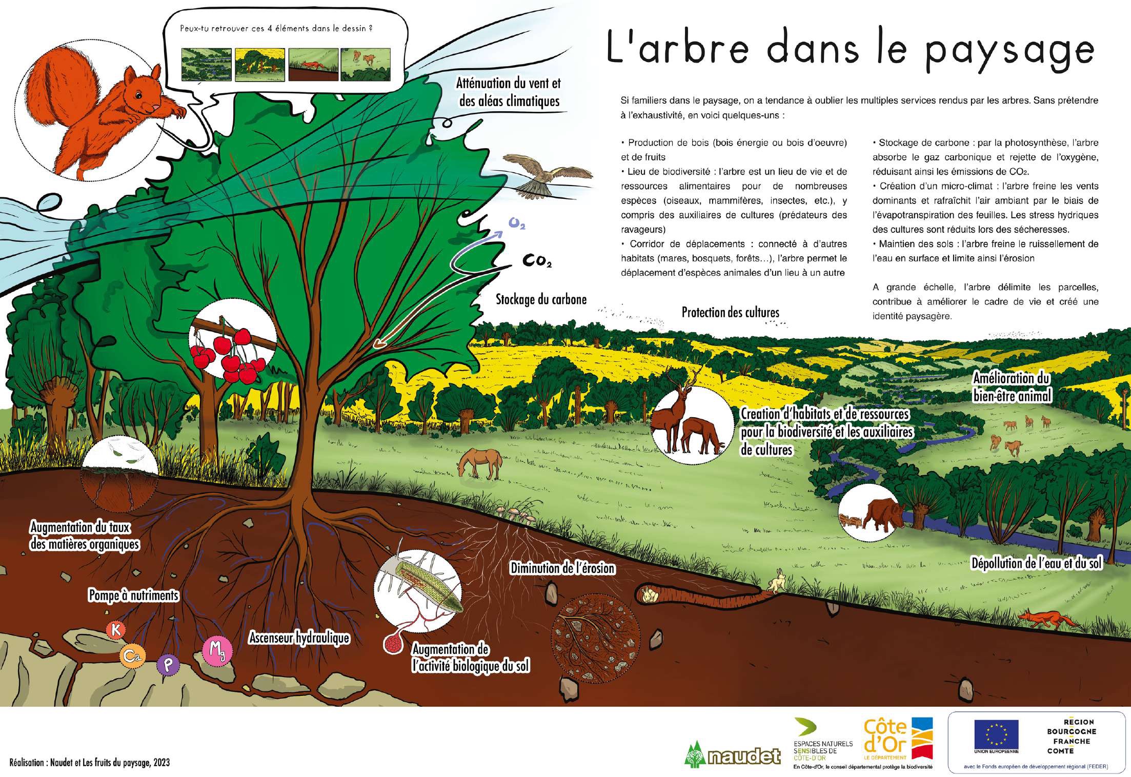 Panneau 4