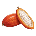 Cacao