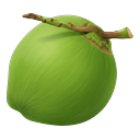 Coco