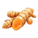 Curcuma